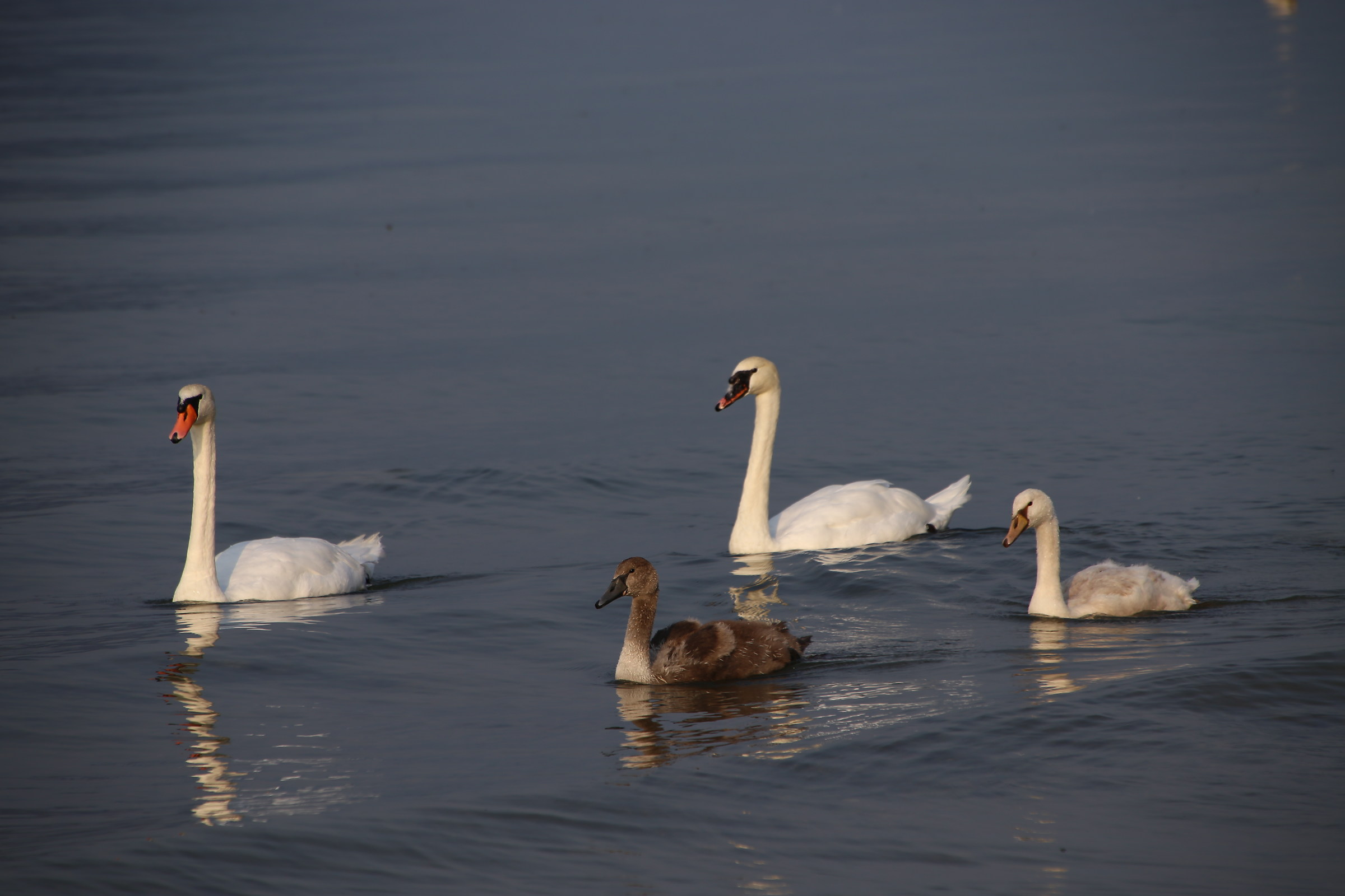 famiglia in vacanza al lago