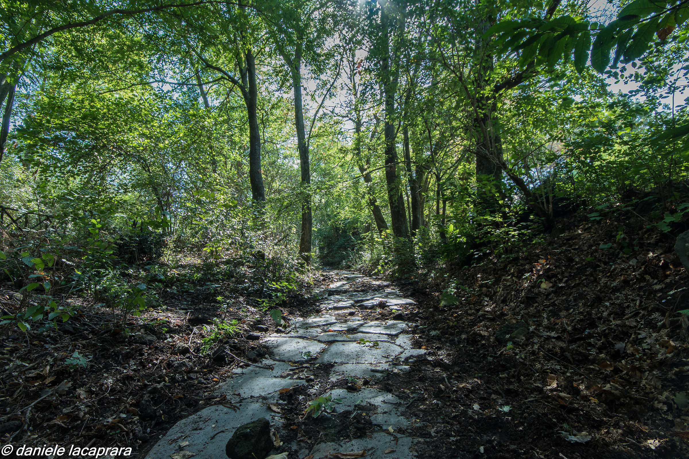 Antica strada per il Tusculum