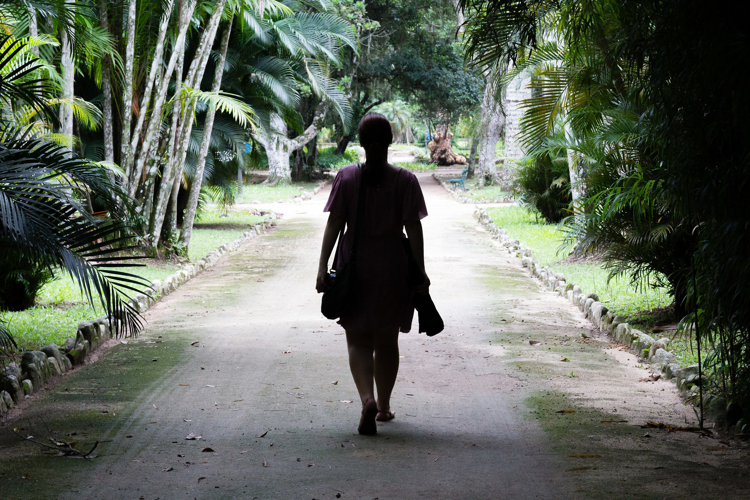 the botanical garden