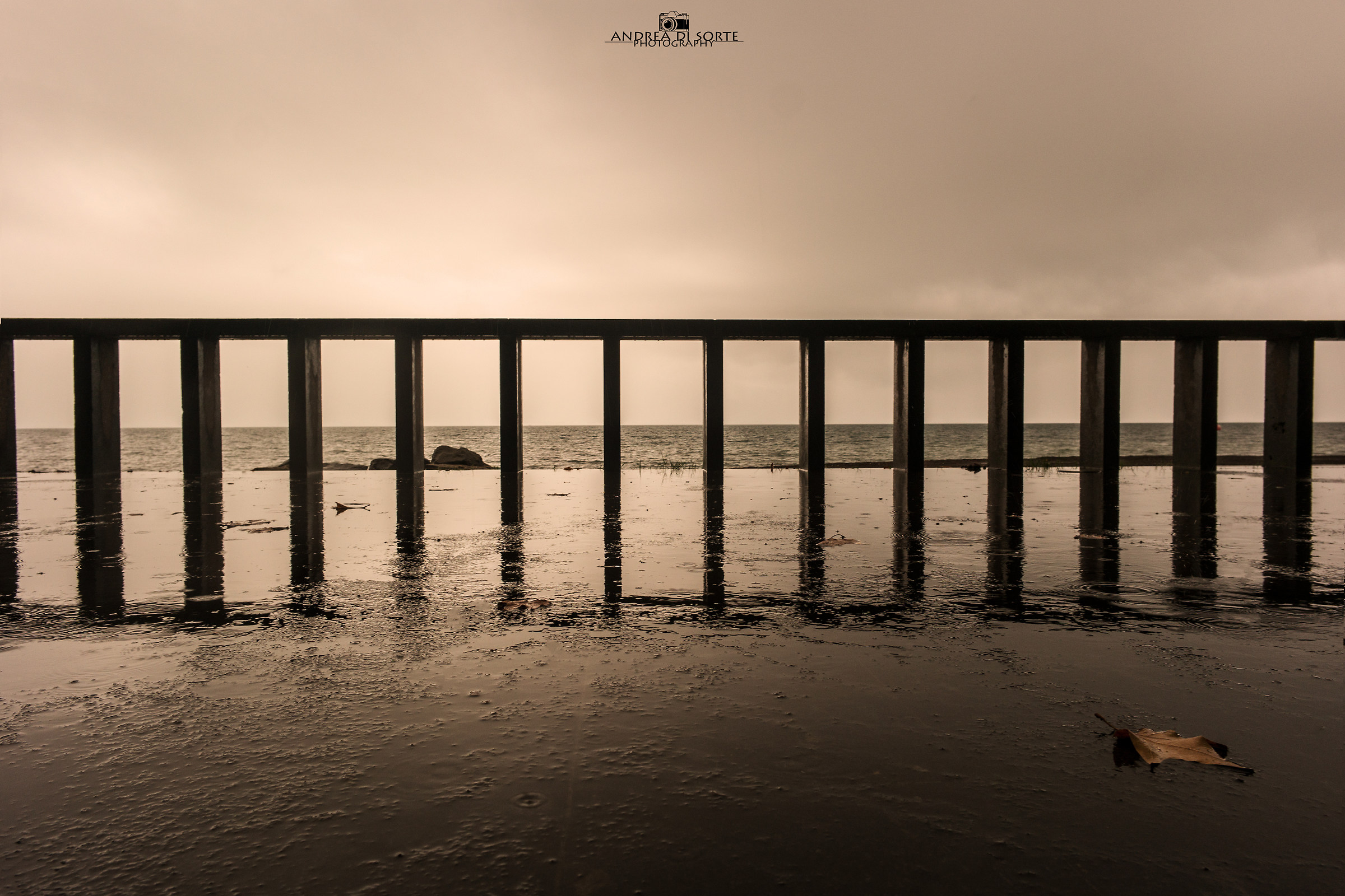 C'è chi rimane sempre fermo