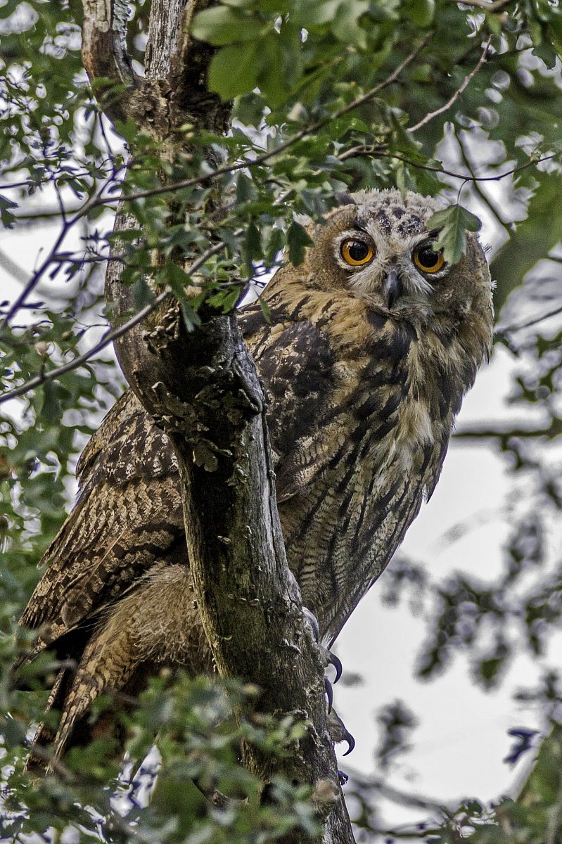 la fine di una stagione