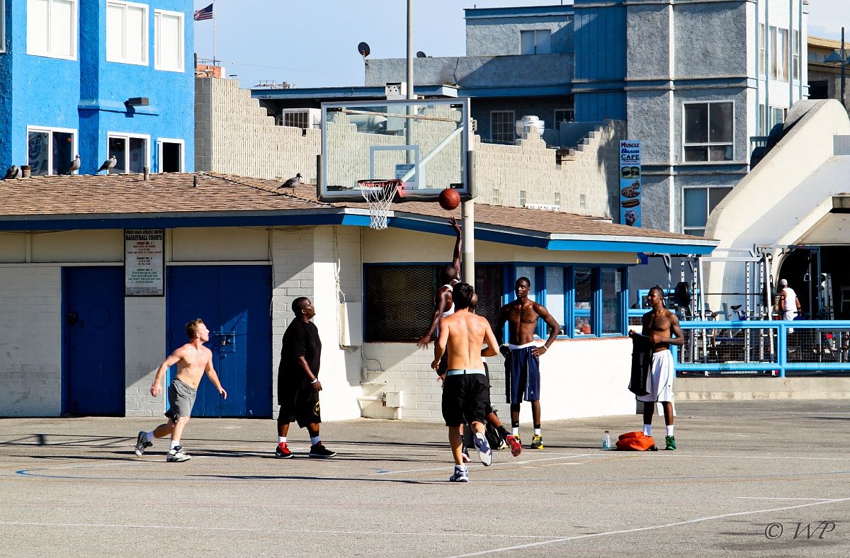 Venice beach 3