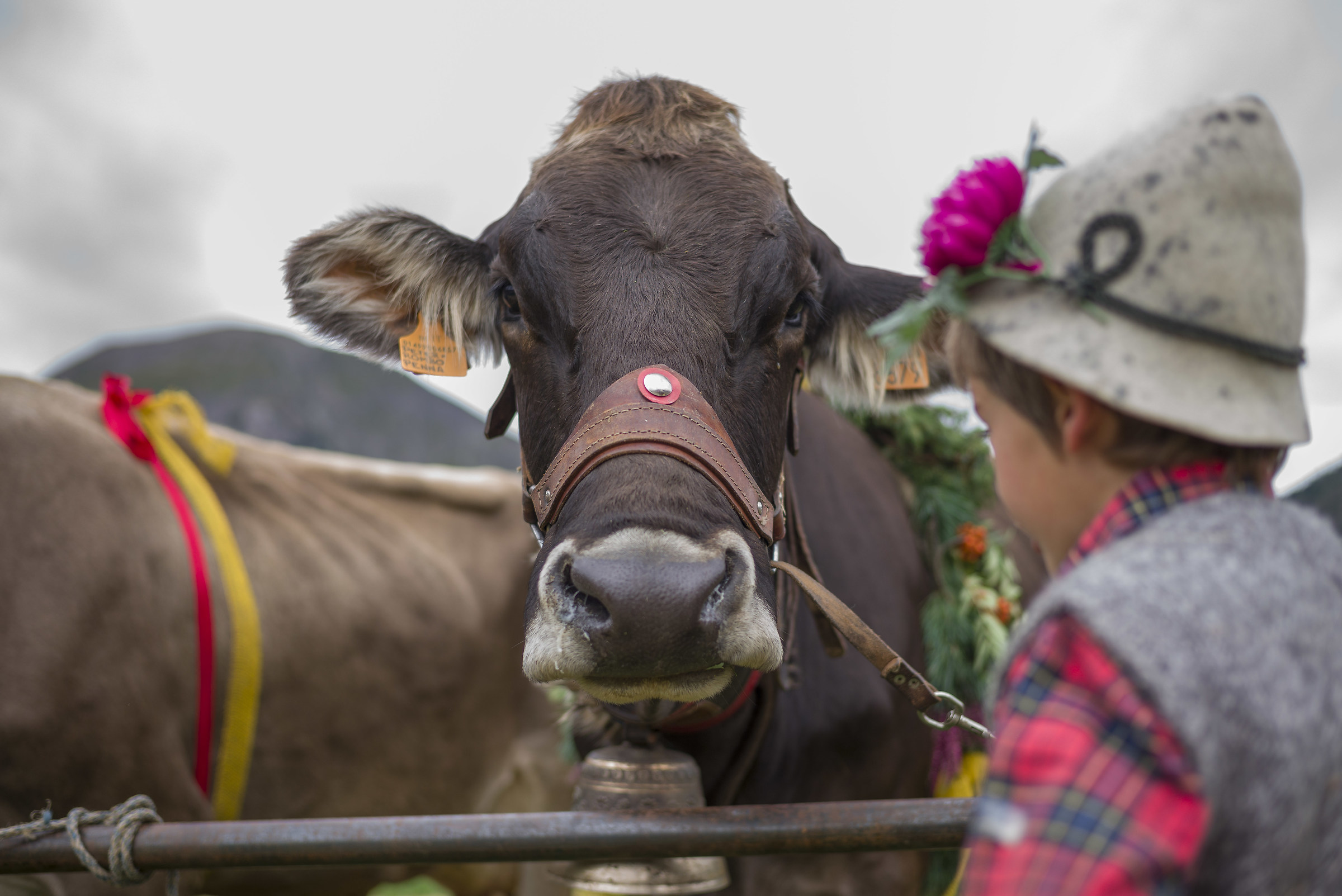 amore x la sua amica.....