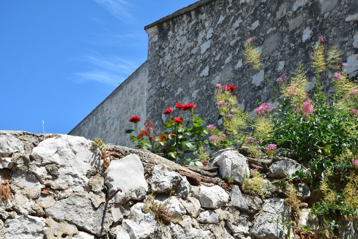 in the Cilento village ....