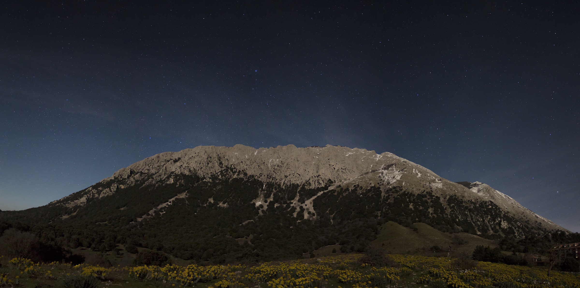 Pizzo Carbonara Moonlight