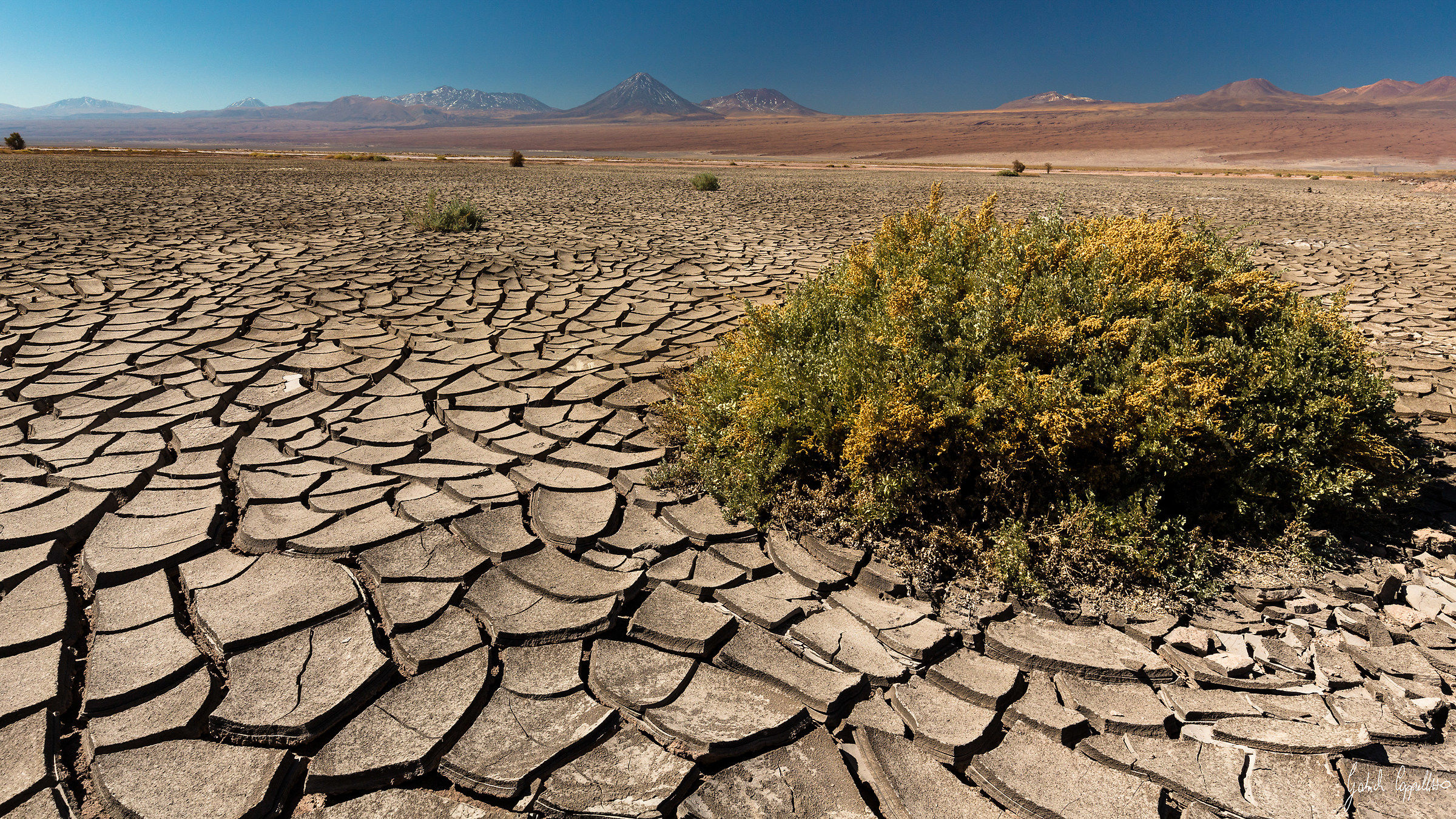 The driest in the world