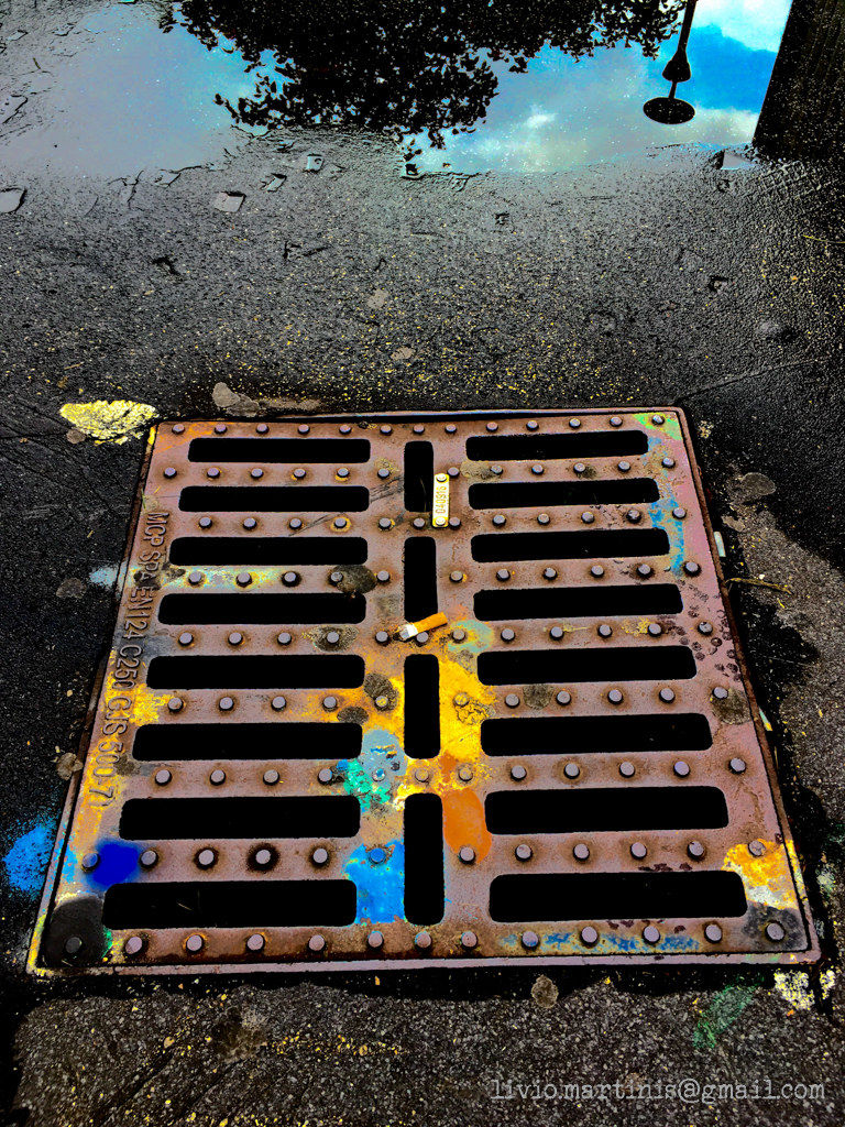 Colori d'autunno a Milano