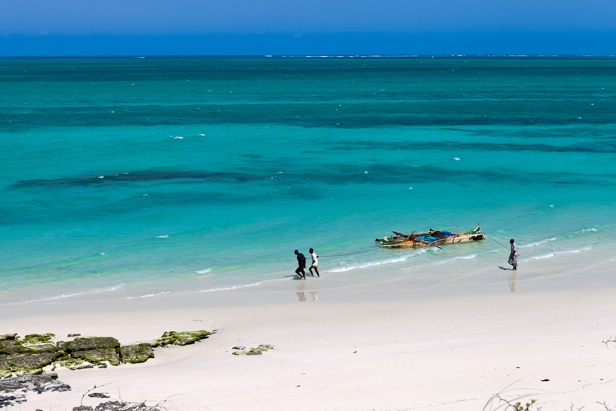 They report the summer !!