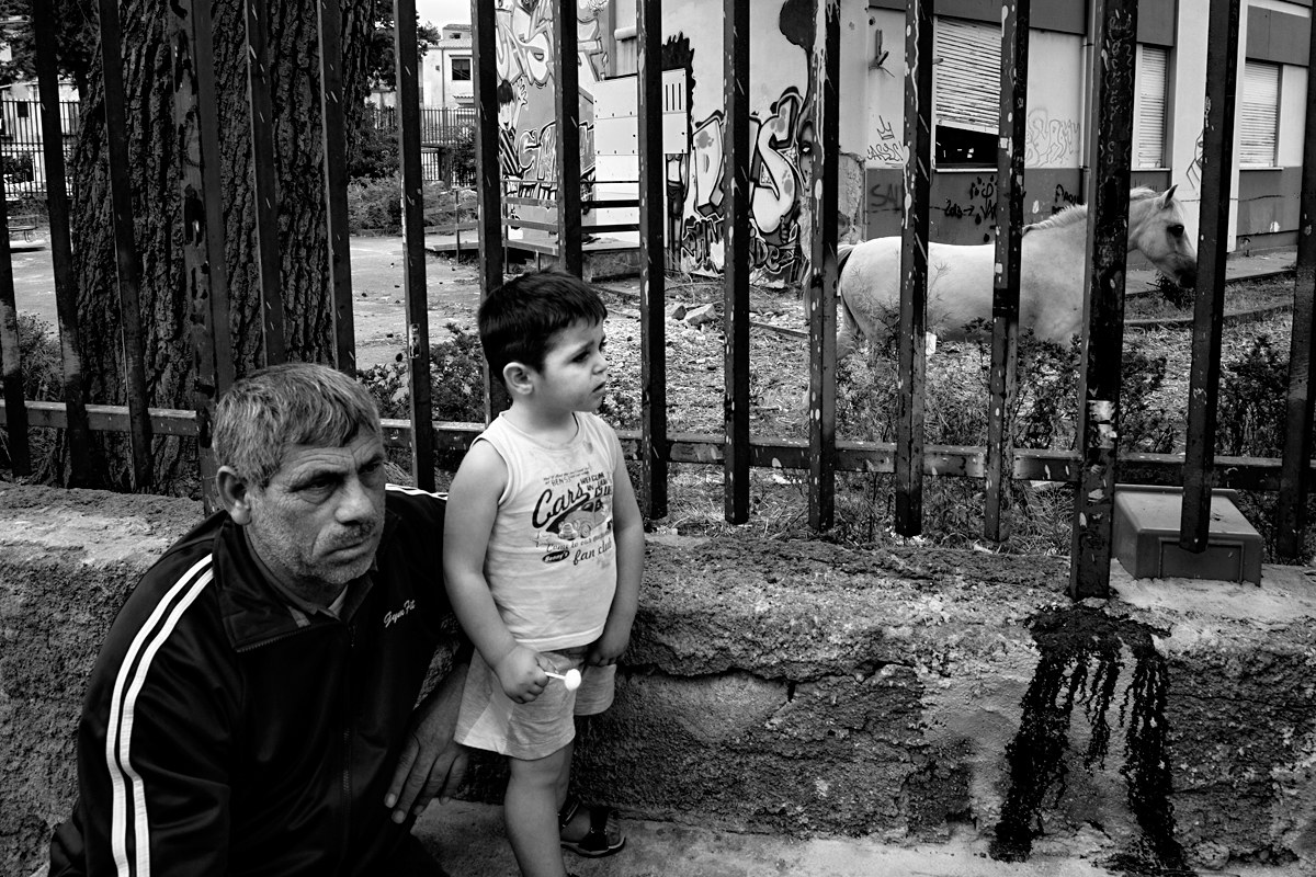 Quadri Palermitani n. 9. Scuola con cavallo