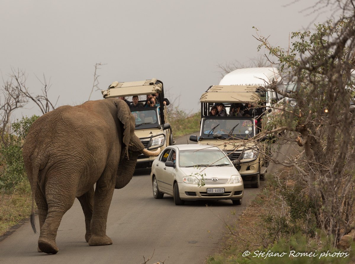 you stupid people, mash!