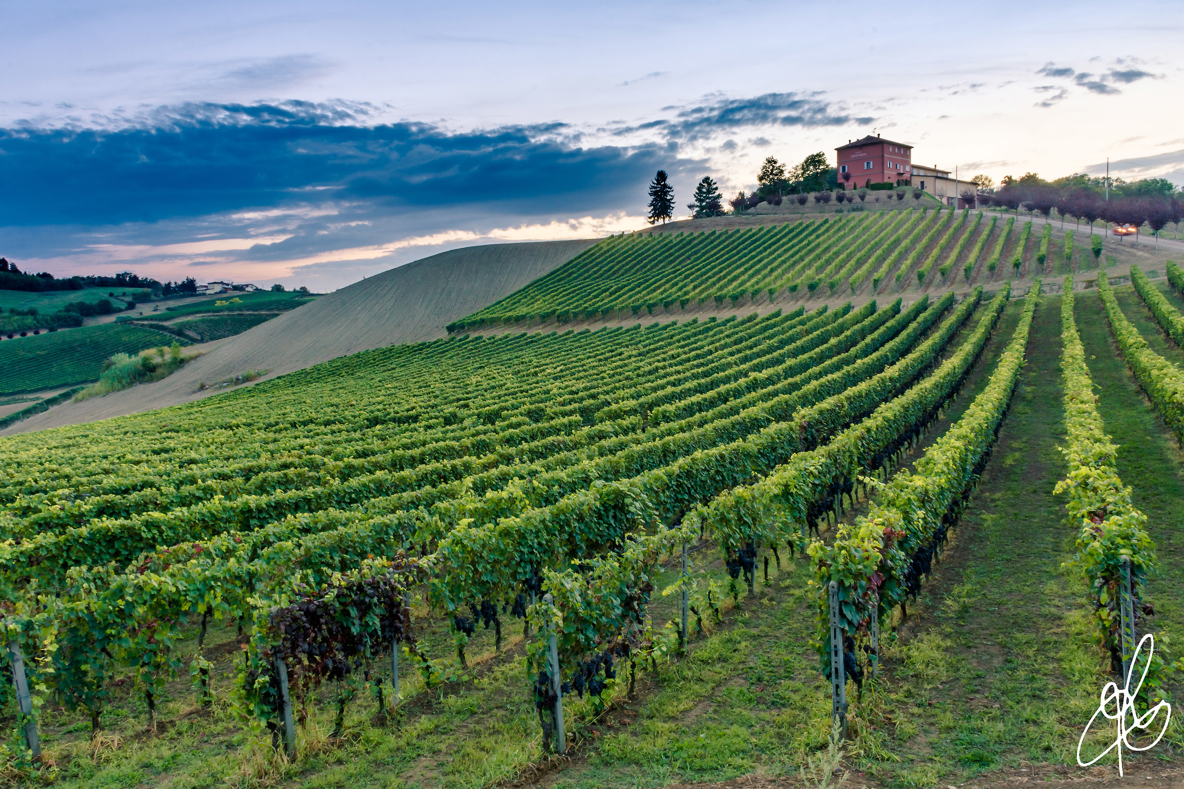 Geometrie Monferrine