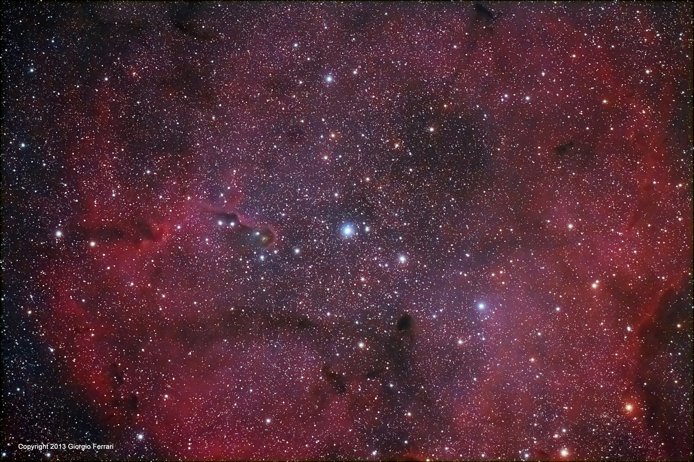 IC 1396 Elephant's Trunk nebula - Cepheus
