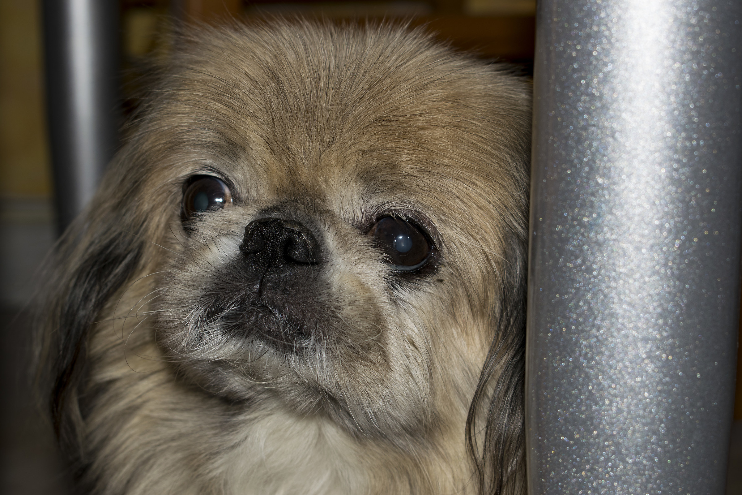 Ehi you ! I'm watching you..