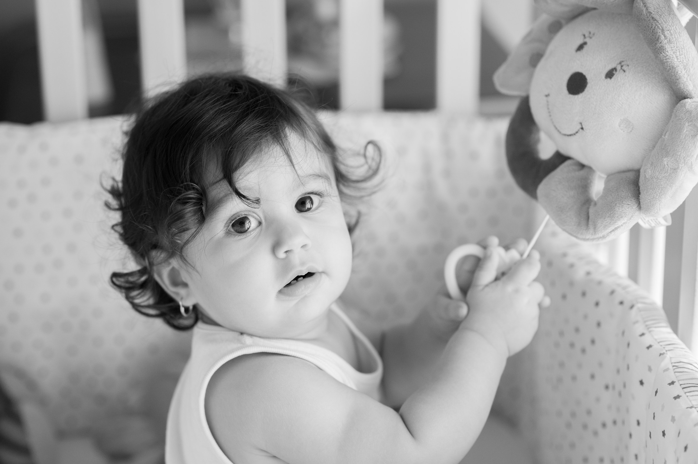 un Carillion per palestra