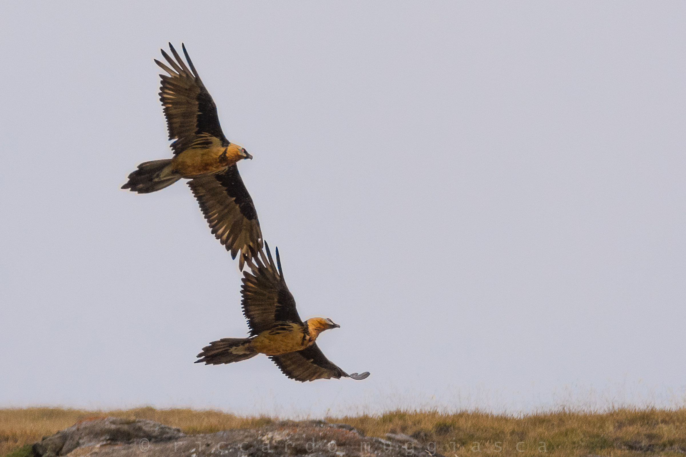 In flight "by the hand"