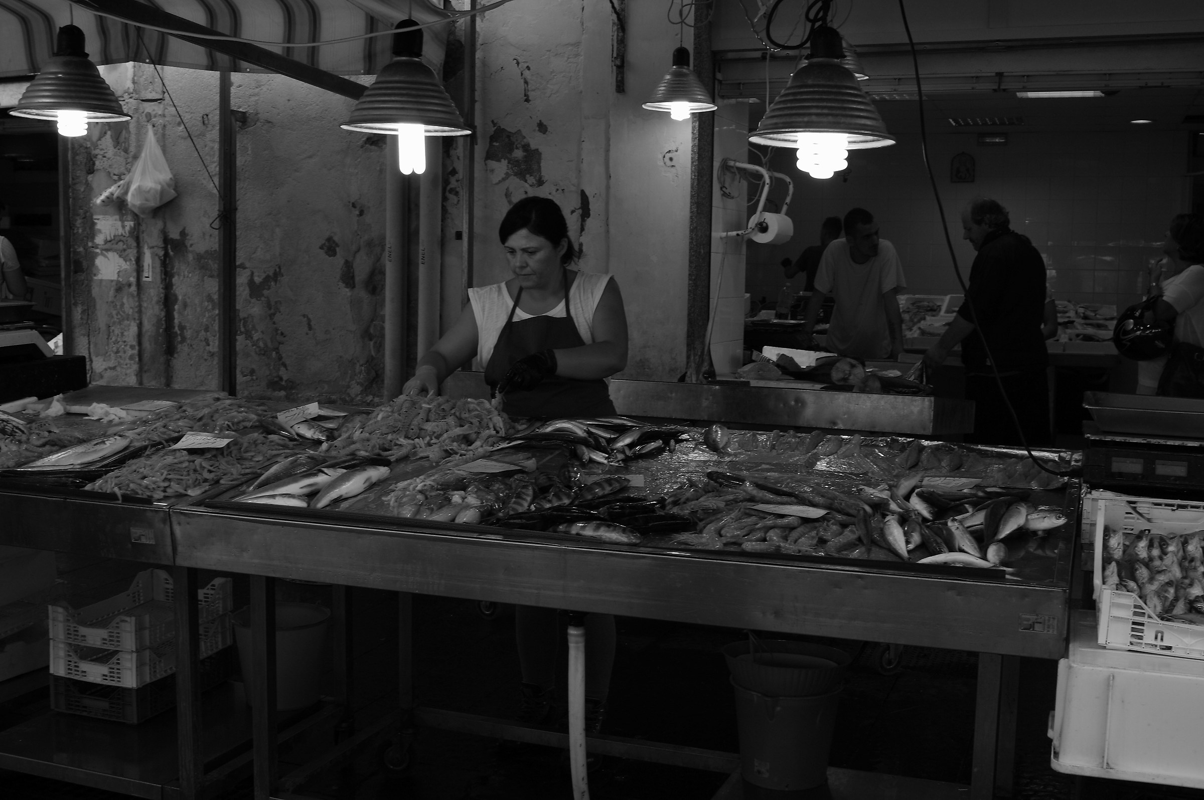 Tour of the fish at the Syracuse market