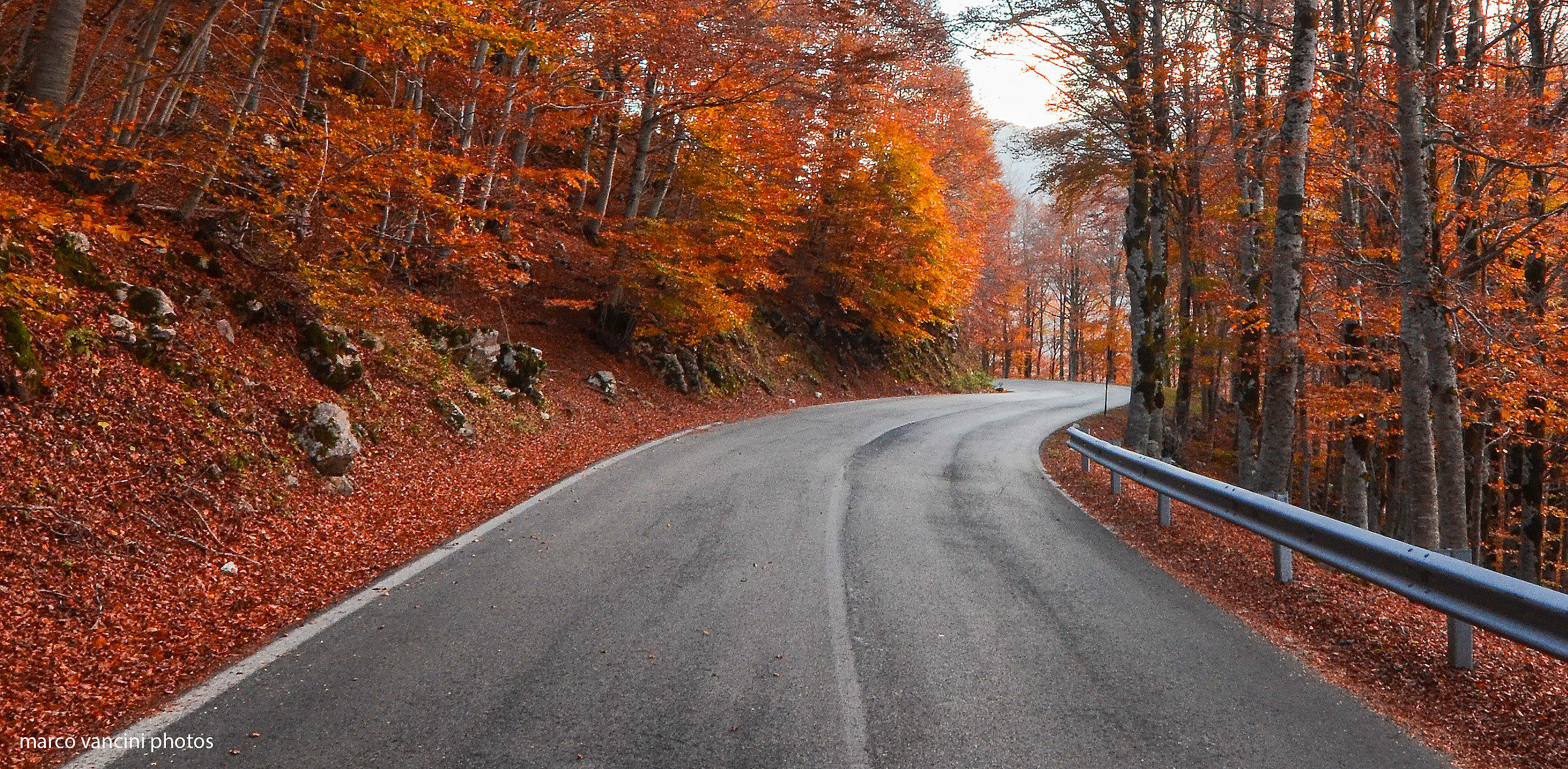 I colori dell'autunno