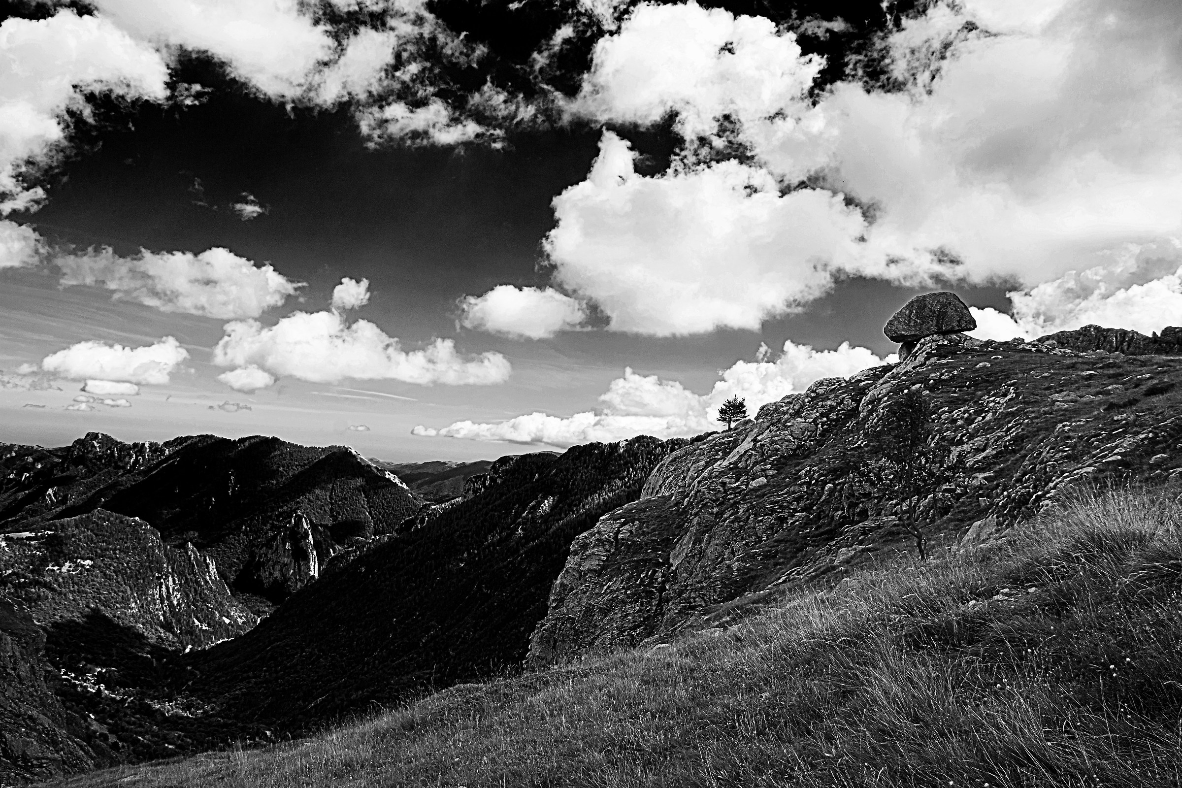 The Maestrelle, Alta Val Tanaro