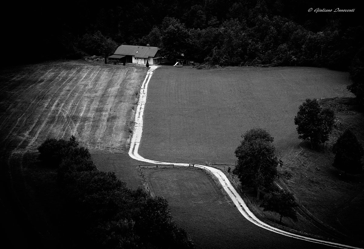 la strada nel bosco.....