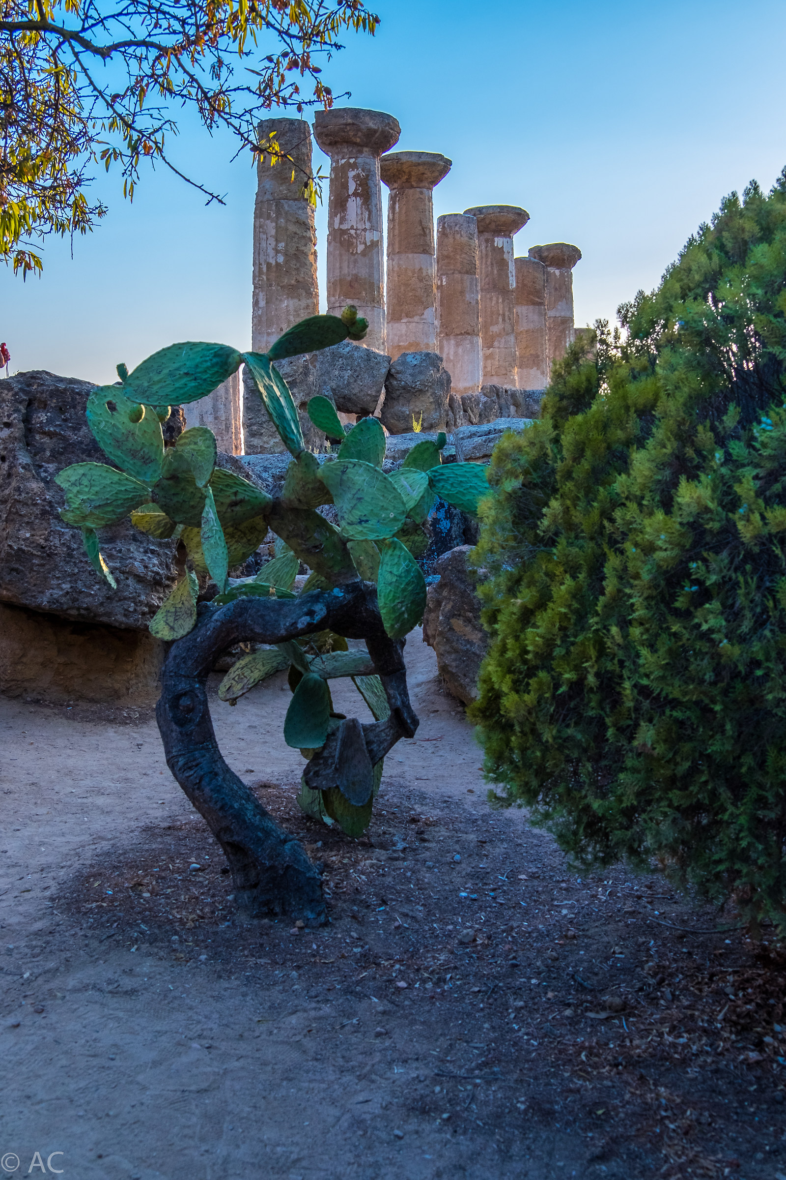temples in Agrigento