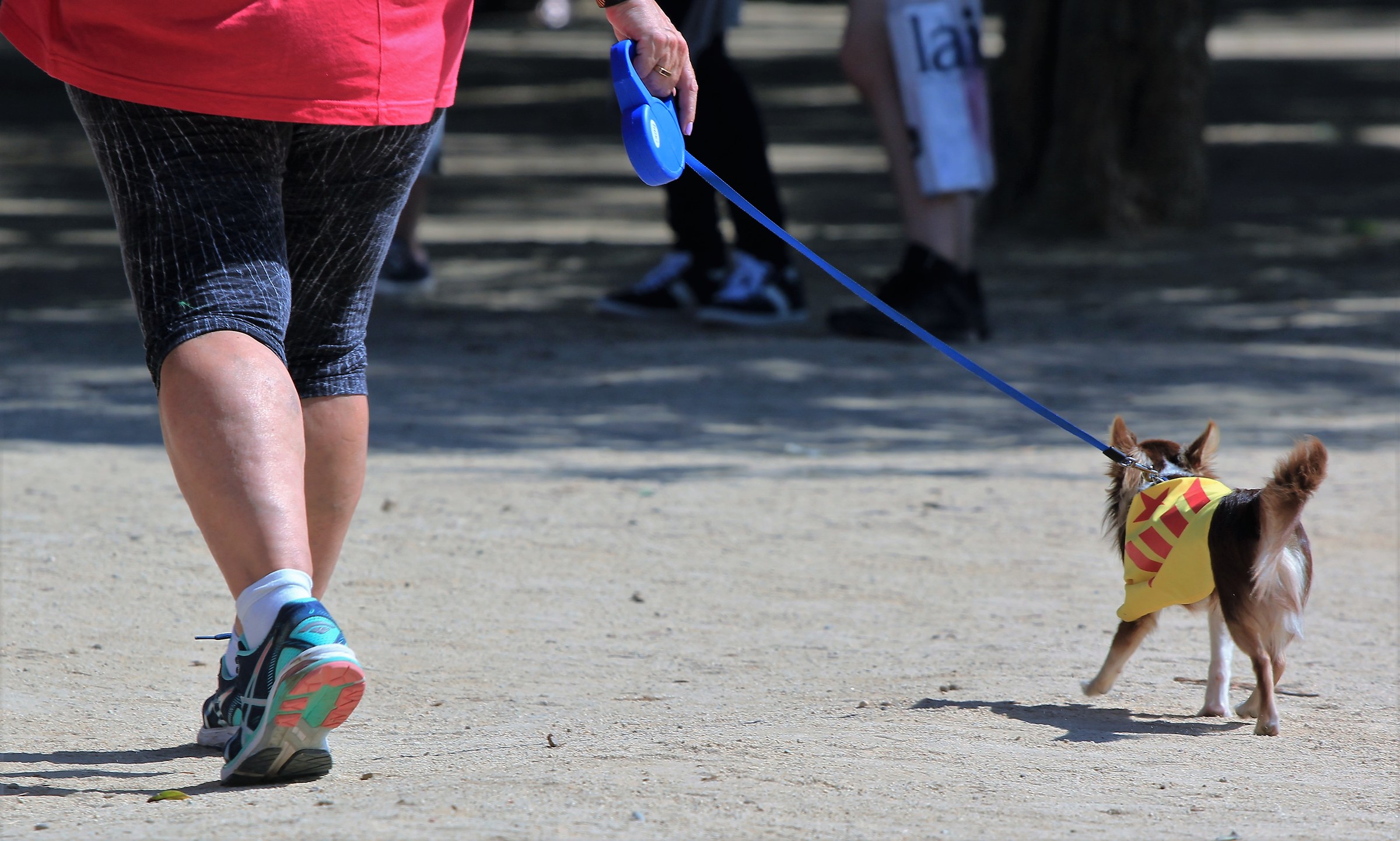 Giorno per l'indipendenza della Catalonia