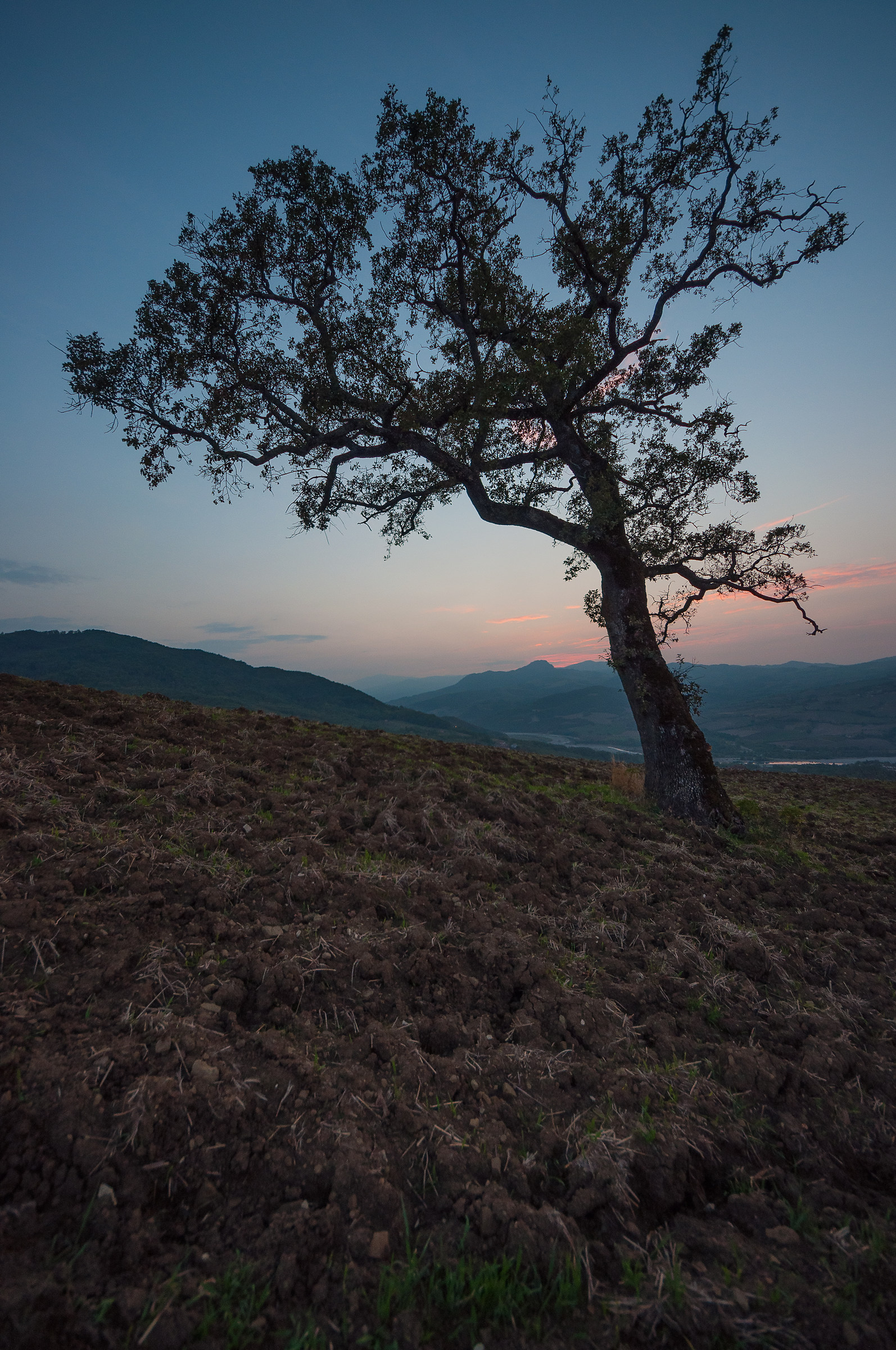 Farnia solitaria si affaccia sulla Val Trebbia