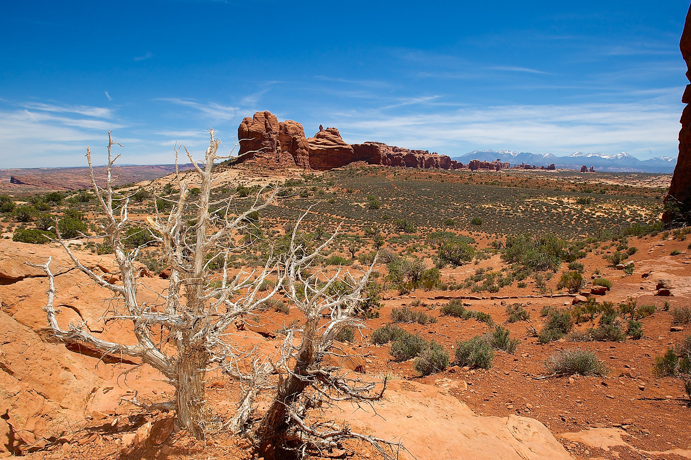 Far West- Arches National Park