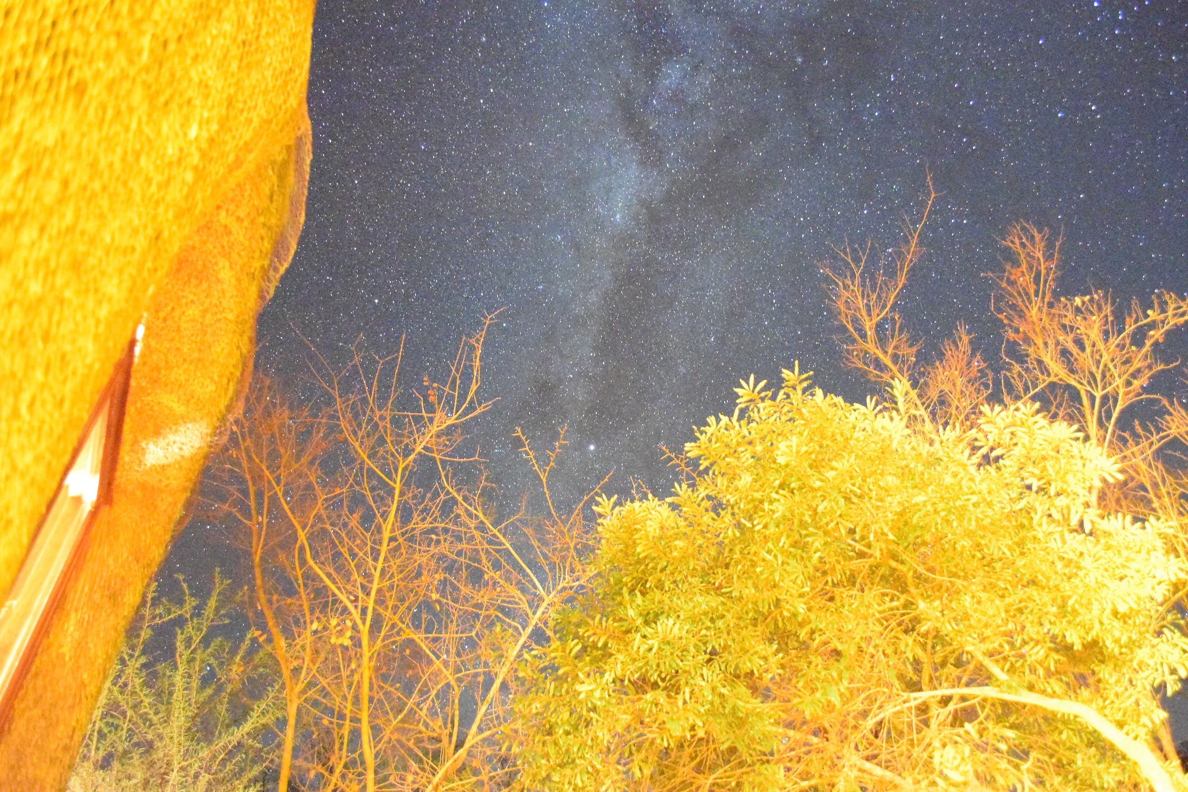 cielo stellato Kruger Park