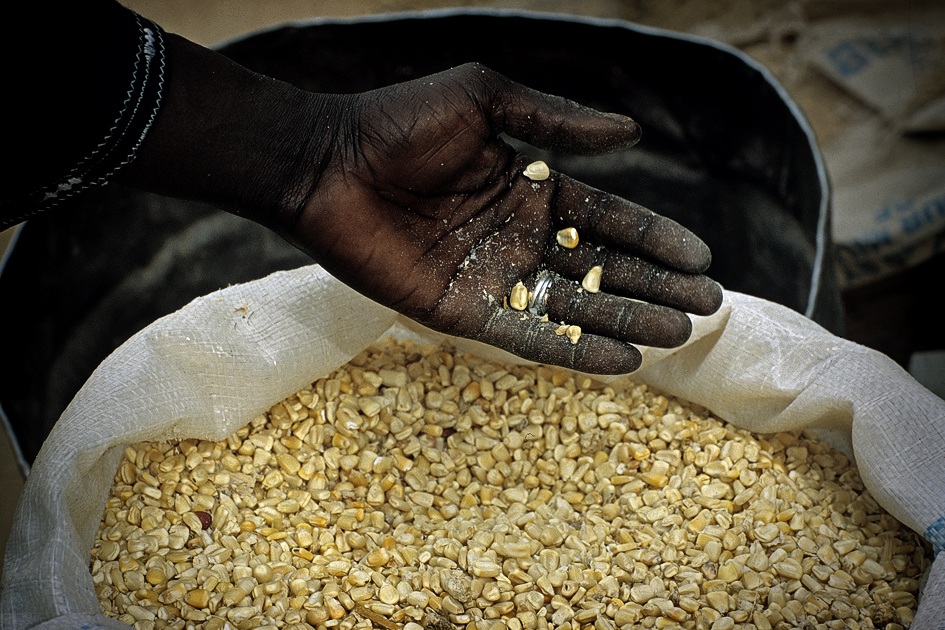 Niger-carestia nel sahel