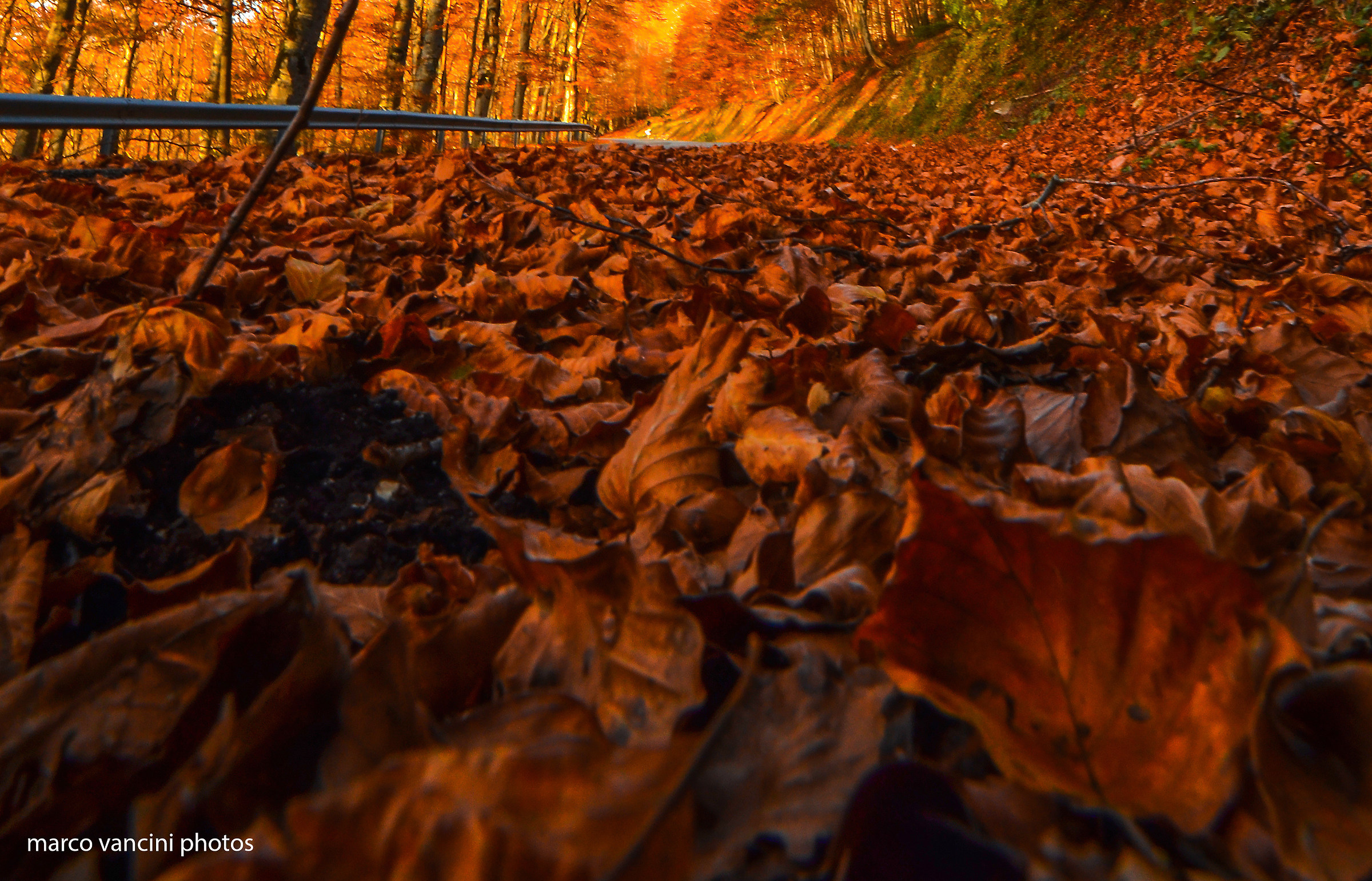 C'era una volta la strada..