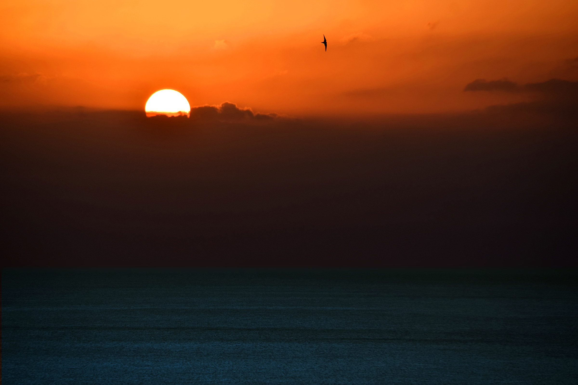 Sun is born in a cradle of clouds