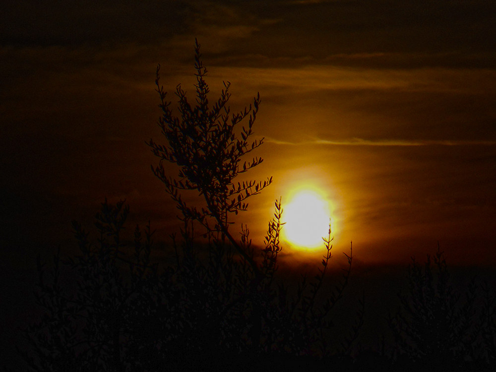 Tramonto nel Chianti