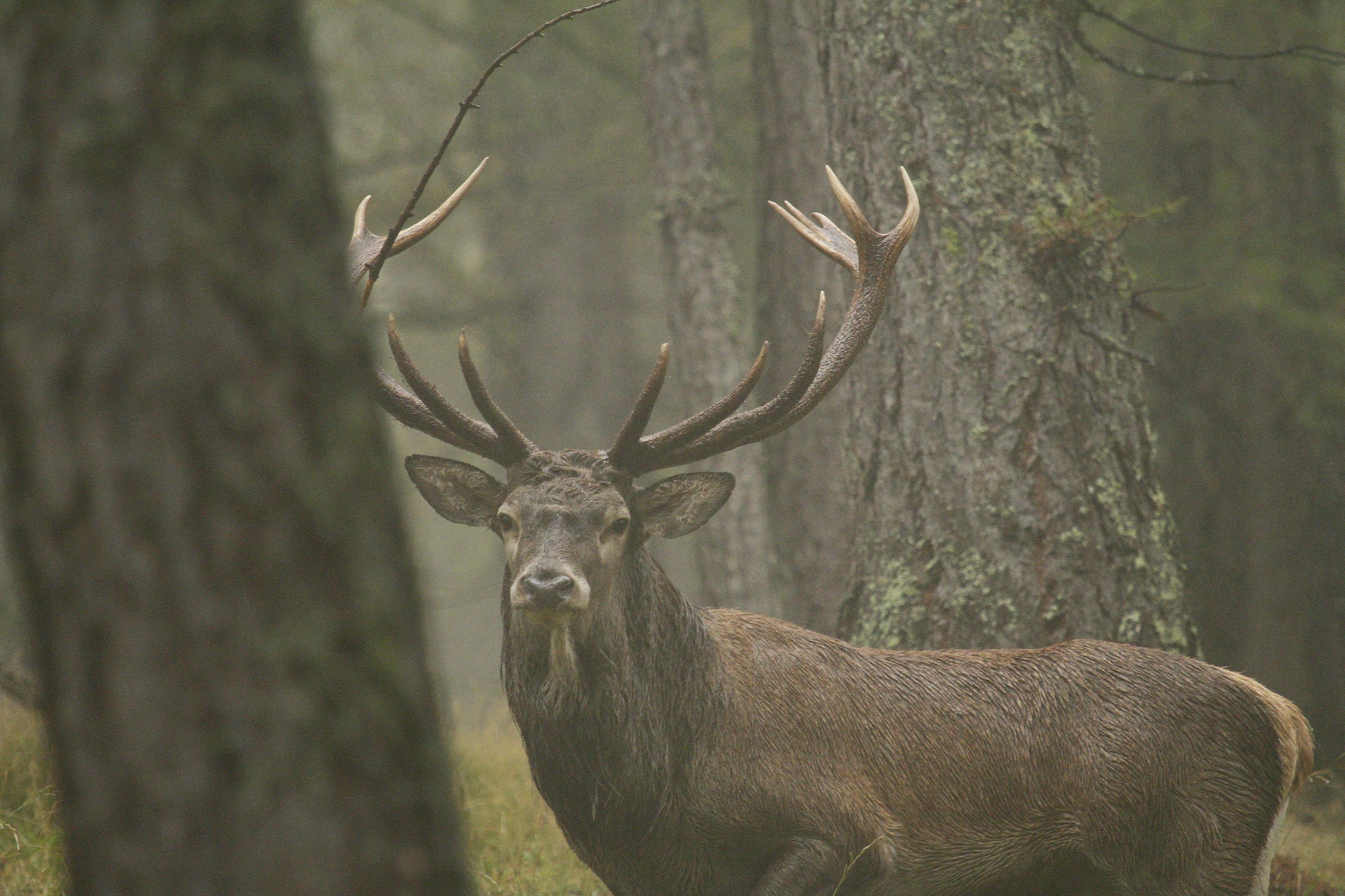 pioggia, nebbia e freddo...non ci ferma nessuno!!