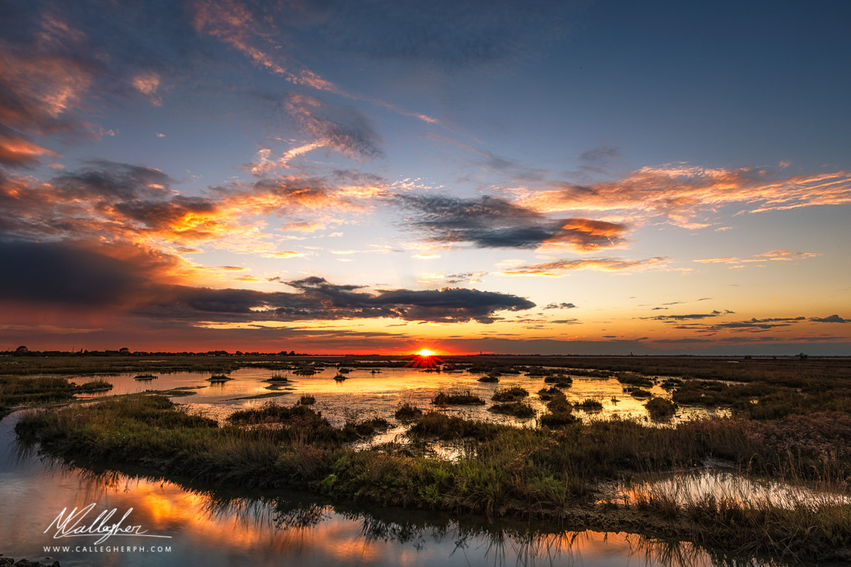 Sunset on the salt marshes