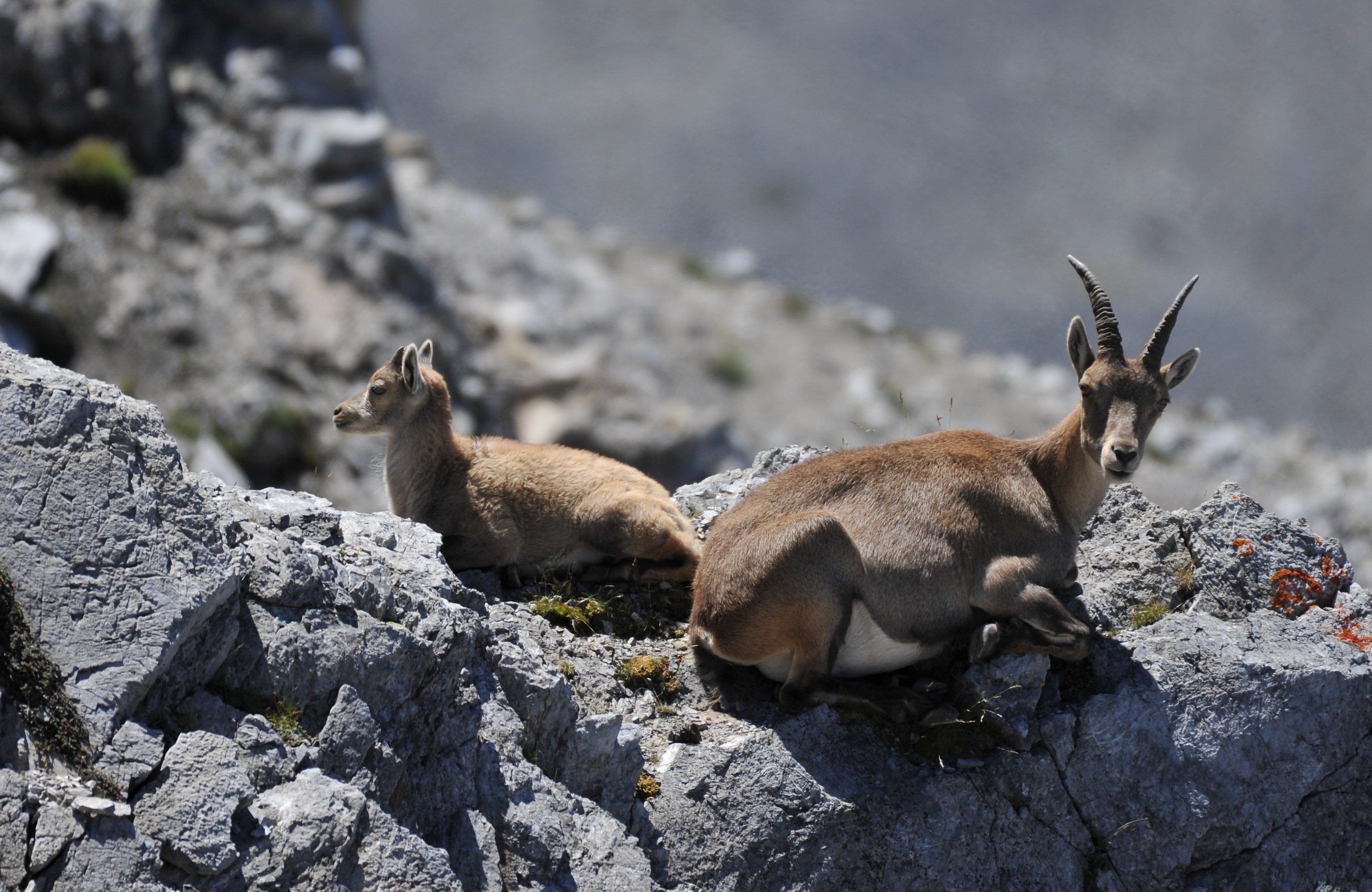Sulle rocce con la mamma