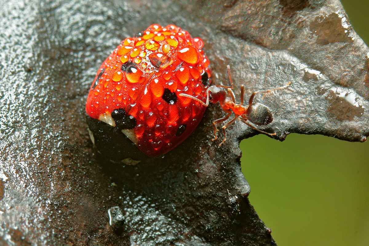 Still in the shower? Come on, we will be late!
