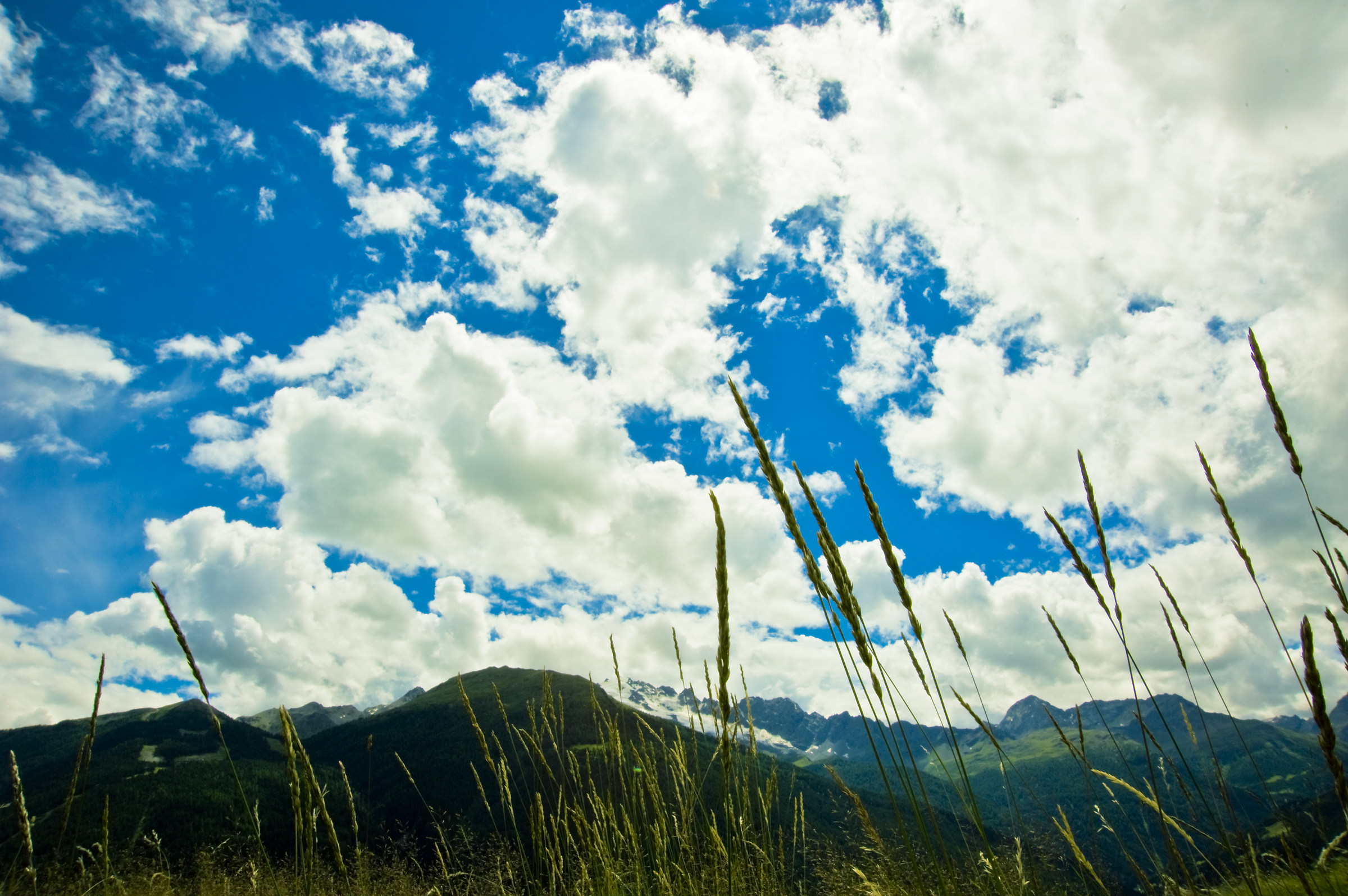 Dal basso verso l' alto..