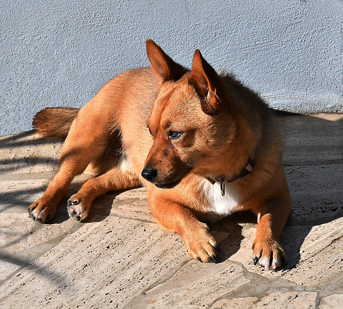 Moki 18 months after