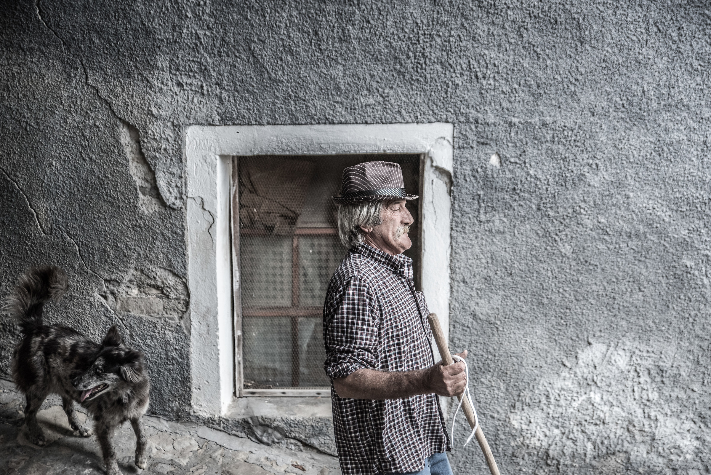 The essence of the shepherd