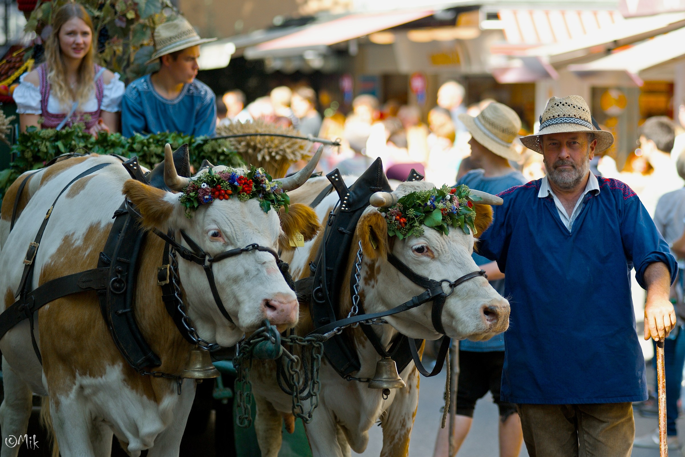 171 ° Bad-Cannstatter Street Parade