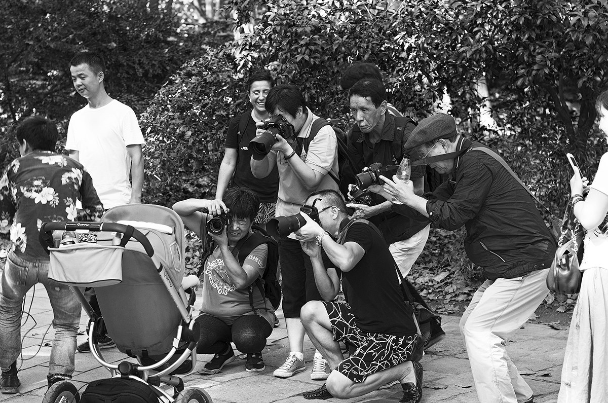 Xi?o hóng mòsh?ng rén (il piccolo stran...