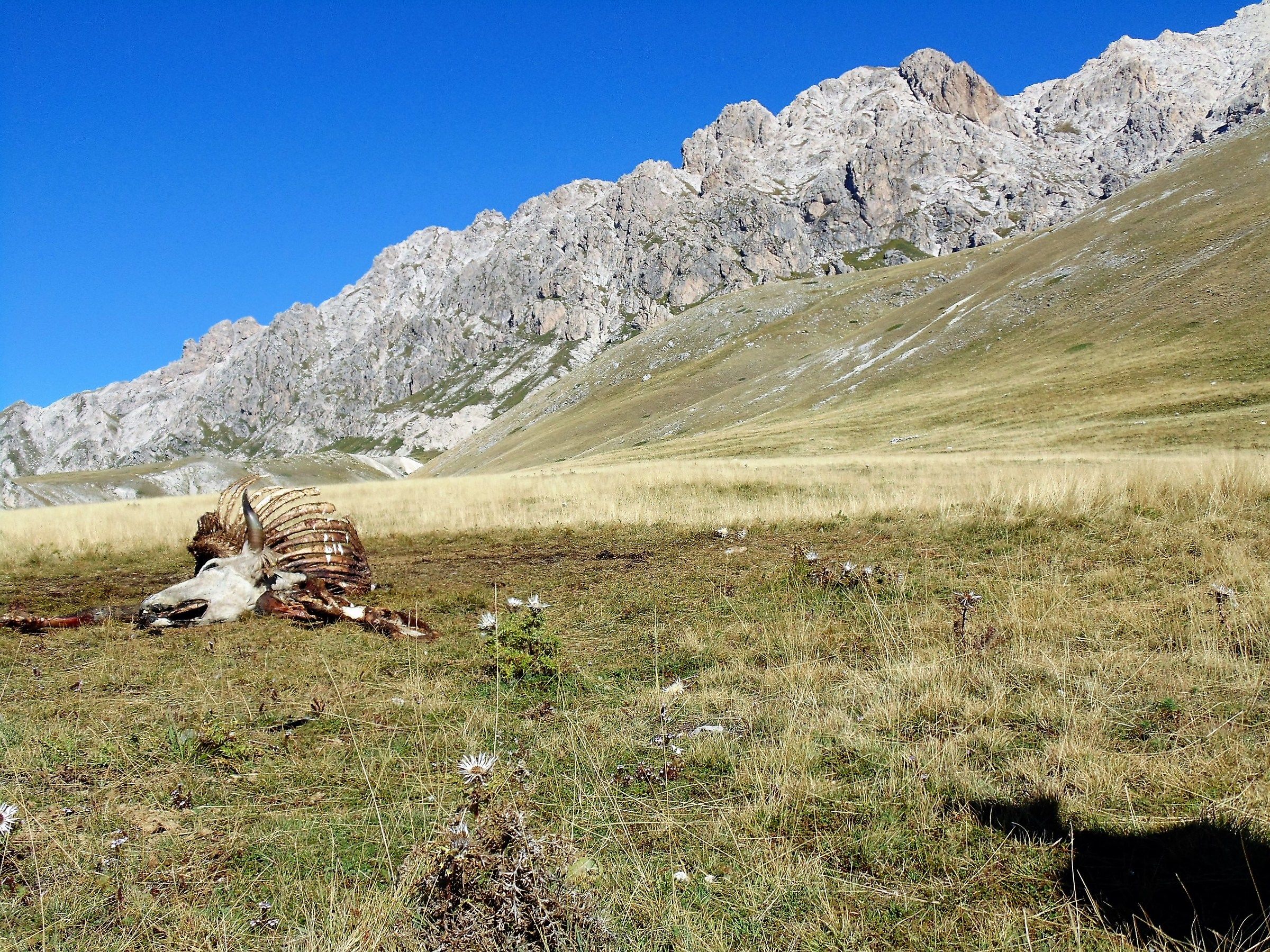 la legge della natura