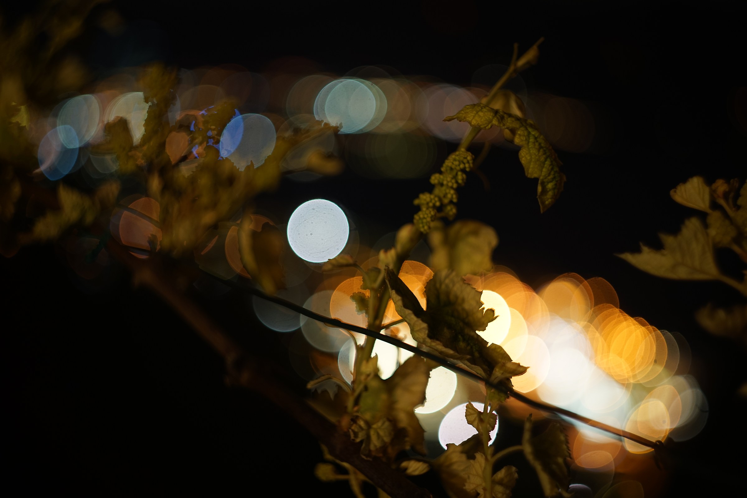 night lights with Helios-44 M