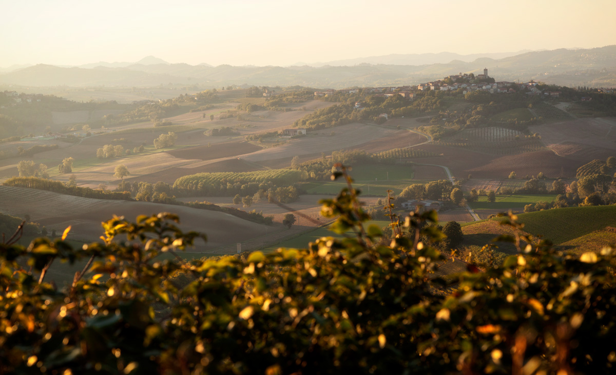 Le vigne di Lu al tramonto