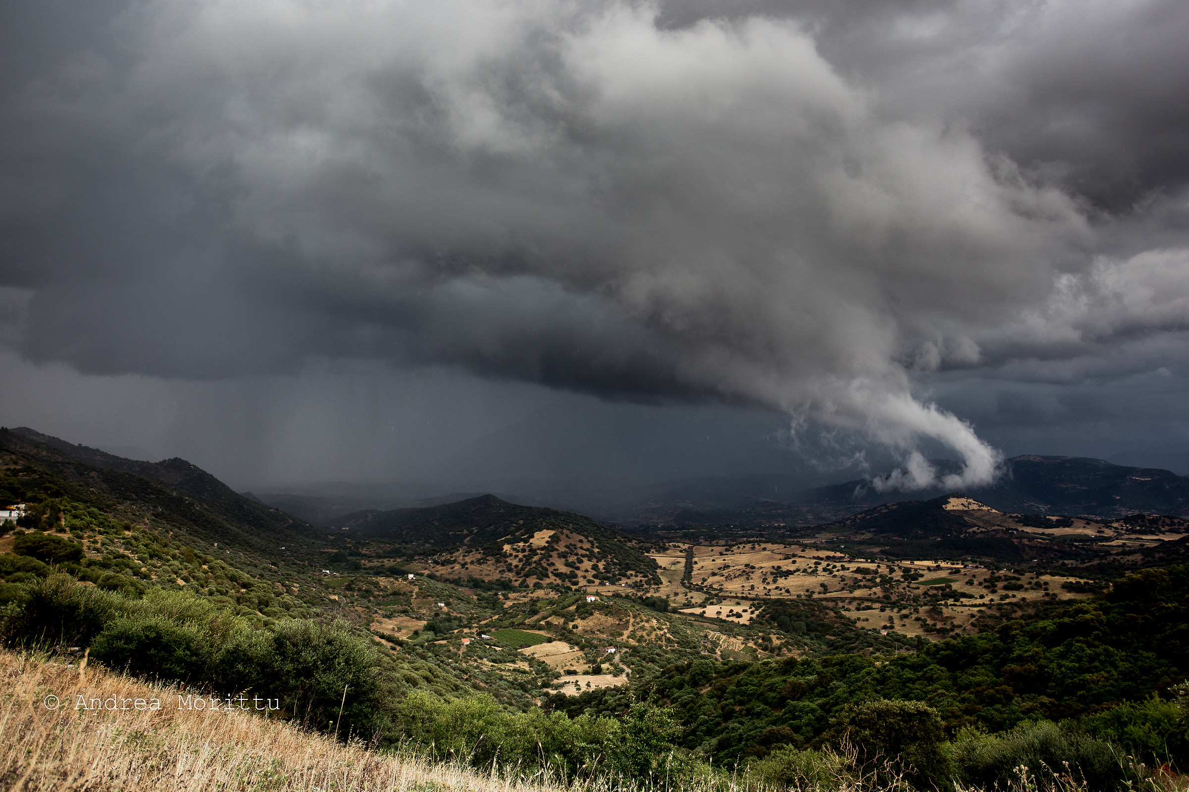 NuvoloLecter Evolution