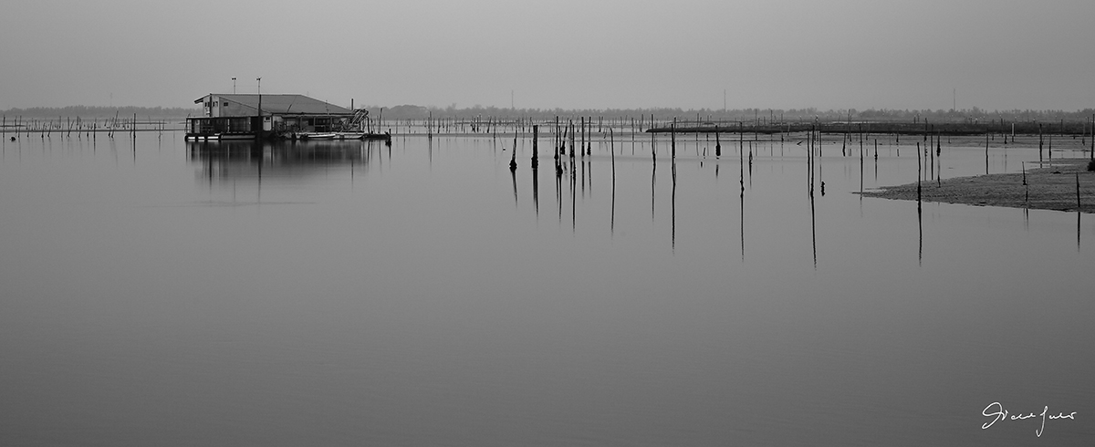 The quiet on the Po delta