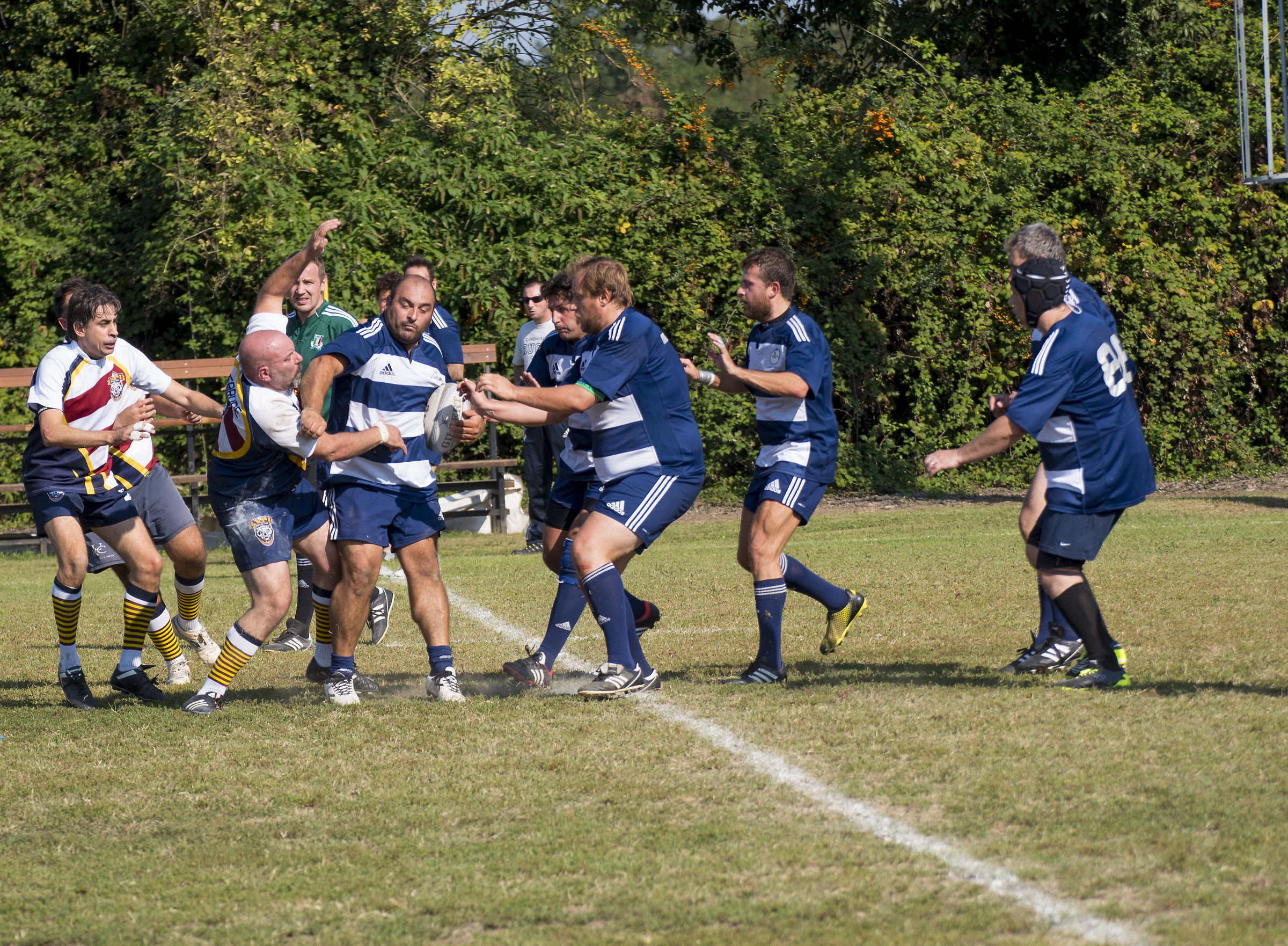 CinghialOld - Wolves rfc