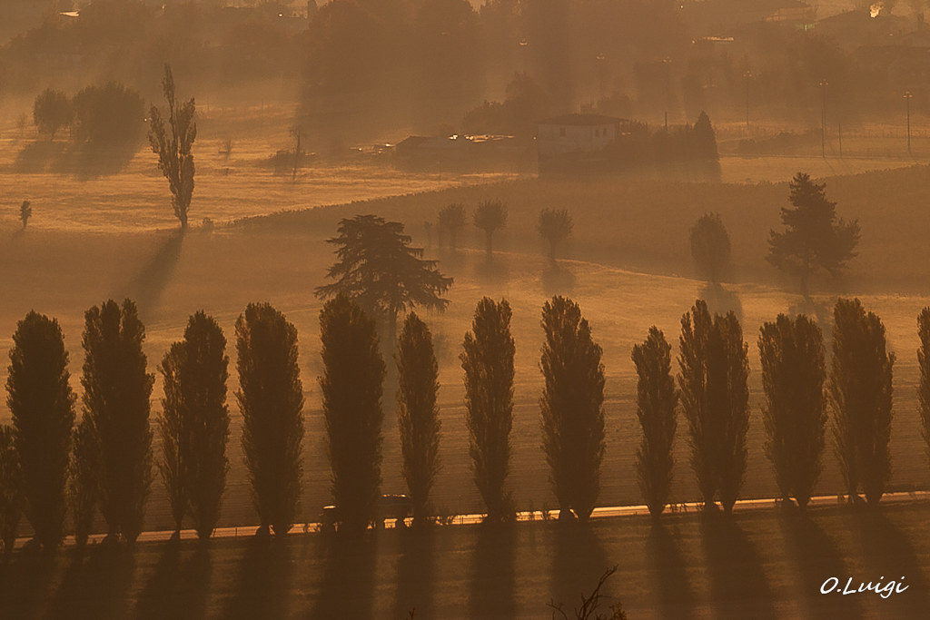 Prime ore del mattino