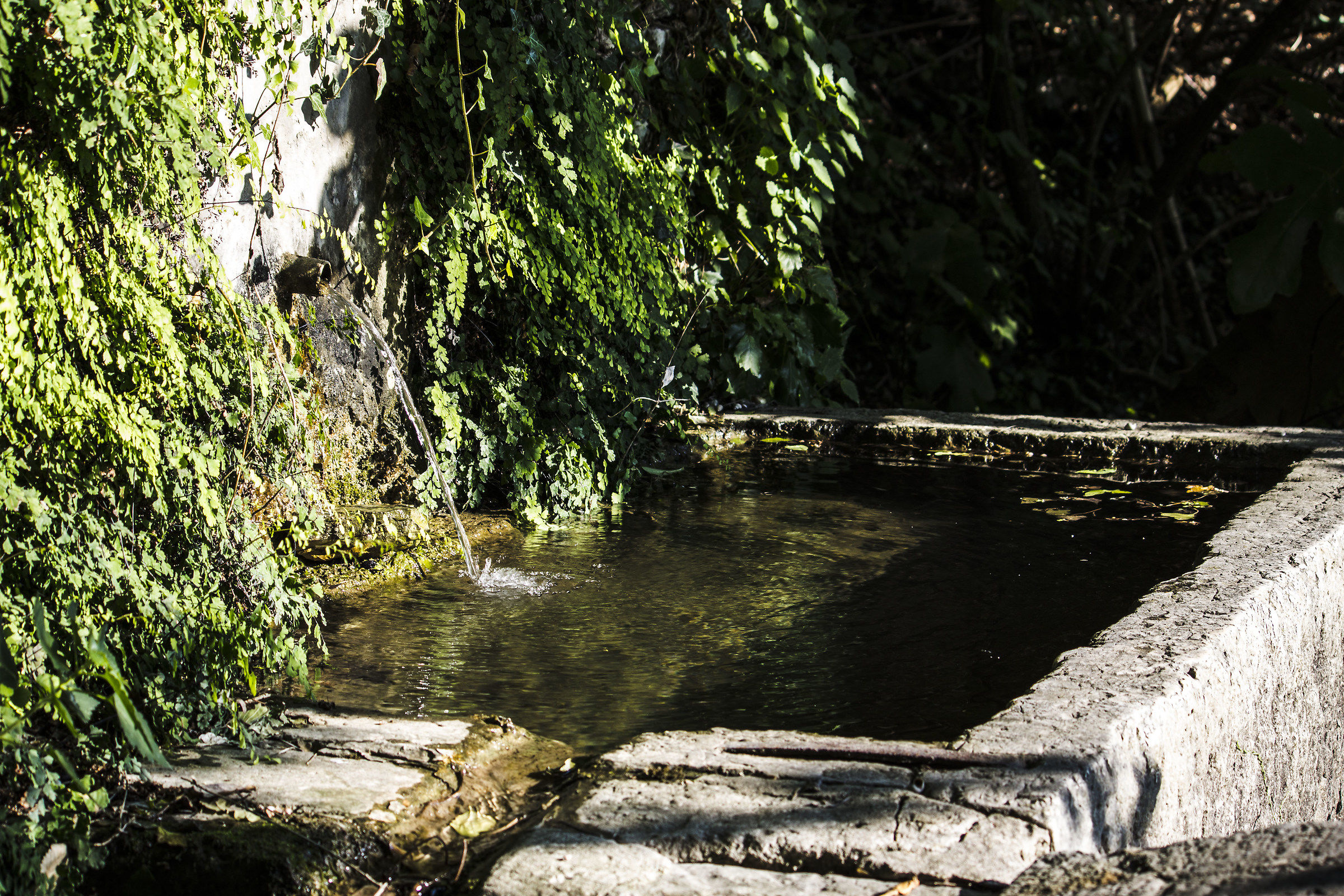 Fontana Vecia in Loc. Caranzan