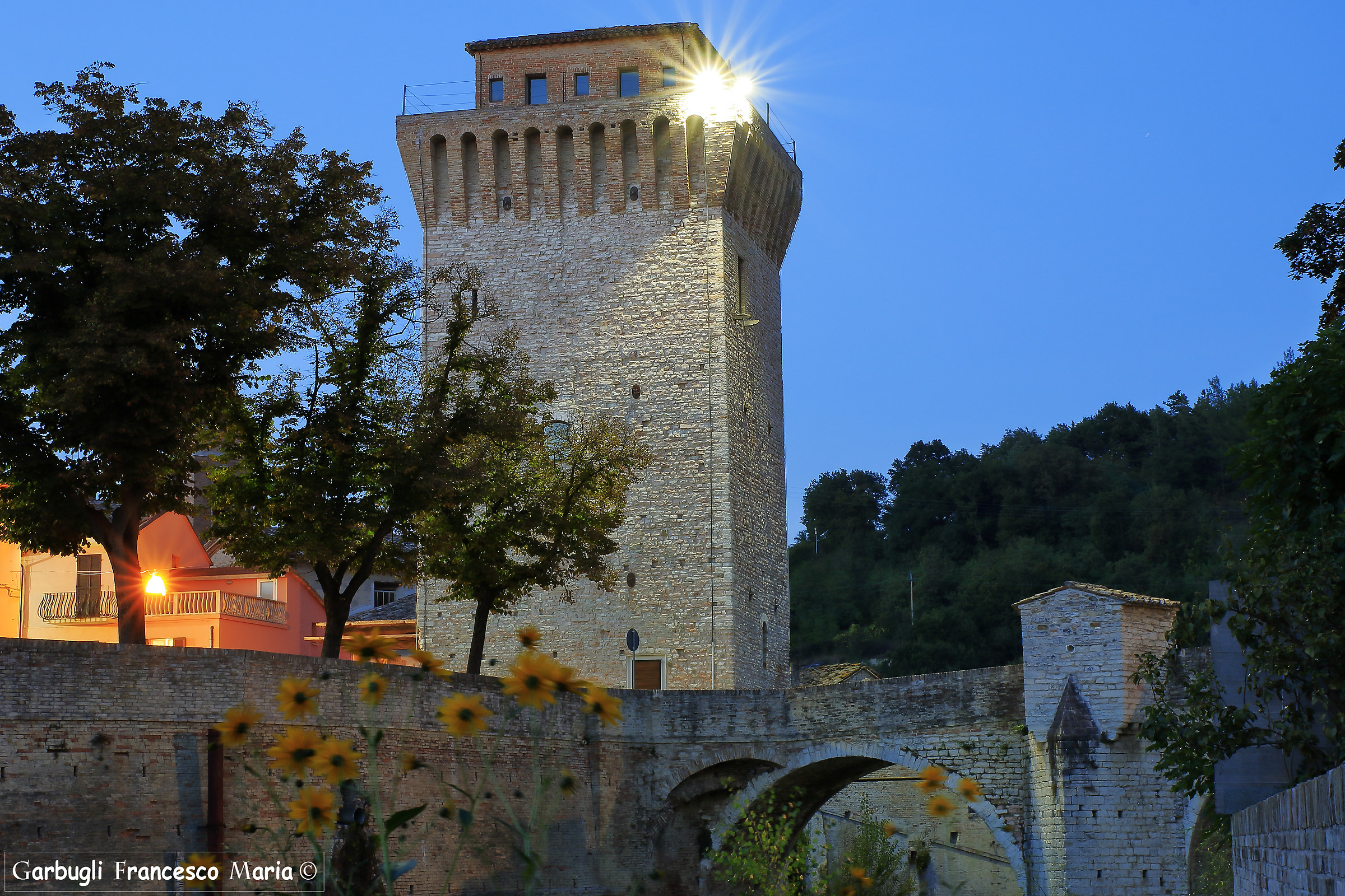evening flowers under the Roman Bridge